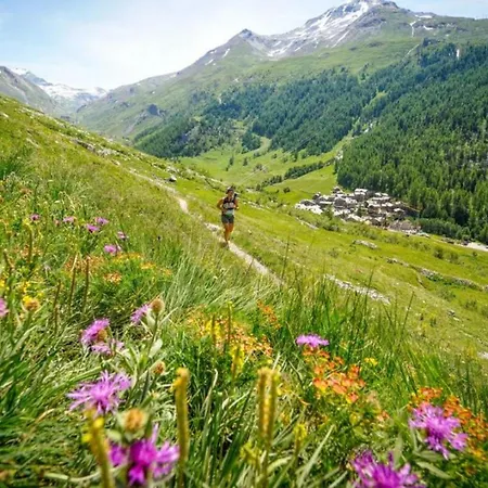 شقة Floor Mansard - Mont Blanc Haven *